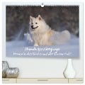 Hundespaziergänge - Momente des Glücks und der Dankbarkeit (hochwertiger Premium Wandkalender 2024 DIN A2 quer), Kunstdruck in Hochglanz - Monika Scheurer
