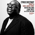 Cover-Bild zum Titel 'There s a Sweet,Sweet Spirit' von 'Cyrus Chestnut'