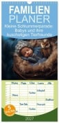 Cover-Bild zum Titel 'Familienplaner 2027 - Kleine Schlummerparade: Babys und ihre kuscheligen Tierfreunde mit 5 Spalten (Wandkalender, 21 x 45 cm) CALVENDO' von 'Artefacti Artefacti'