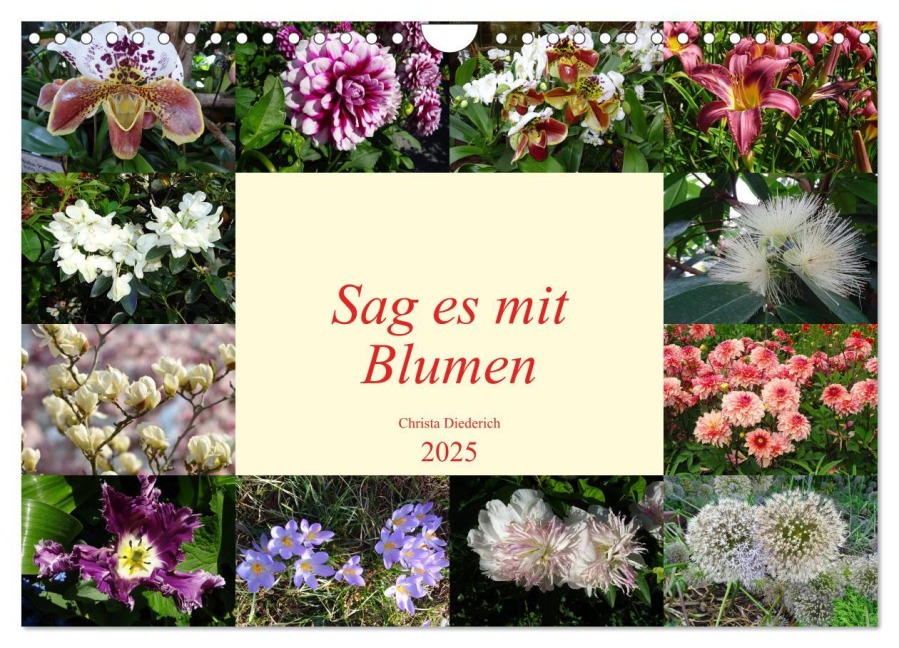 Sag es mit Blumen (Wandkalender 2025 DIN A4 quer), CALVENDO Monatskalender - Christa Diederich
