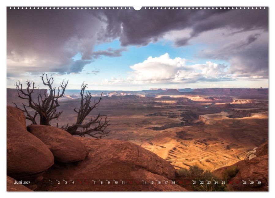 InsideView 11