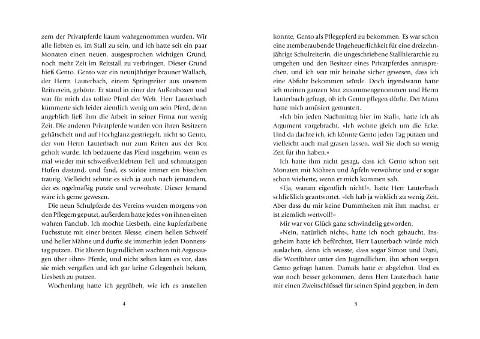 InsideView 4