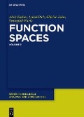 Cover-Bild zum Titel 'Function Spaces, 2' von 'Lubos Pick, Vit Musil, Alois Kufner, Oldrich John, Svatopluk Fucík'