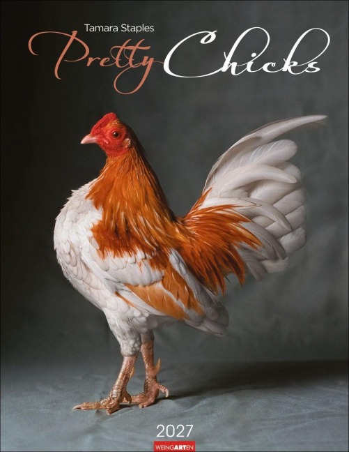 Pretty Chicks Kalender 2027 - 