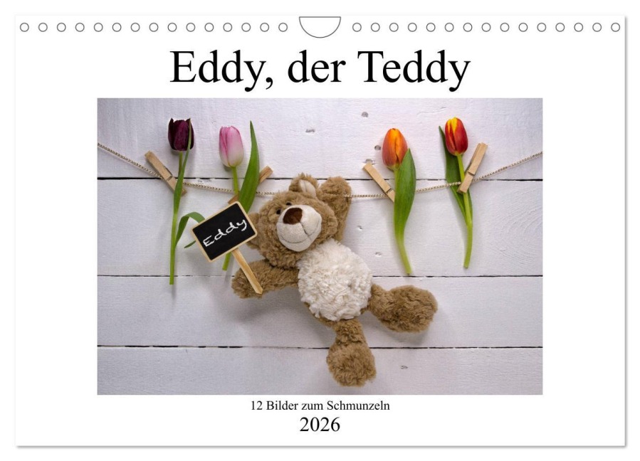 Eddy, der Teddy - 12 Bilder zum Schmunzeln (Wandkalender 2026 DIN A4 quer), CALVENDO Monatskalender - Immephotography Immephotography