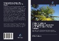 Cover-Bild zum Titel 'Polypropyleen Composieten versterkt met Phormium Tenax Vezels' von 'Fábio Furtado'