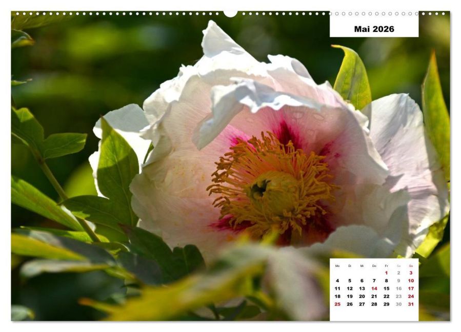 InsideView 10