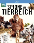 Cover-Bild zum Titel 'Spione im Tierreich' von 'John Downer, Will Gregory'