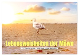 Cover-Bild zum Titel 'Lebensweisheiten der Möwe - Im Flug des Lebens (Tischkalender 2026 DIN A5 quer), CALVENDO Monatskalender' von 'Bihlmayer-Media Bihlmayer-Media'