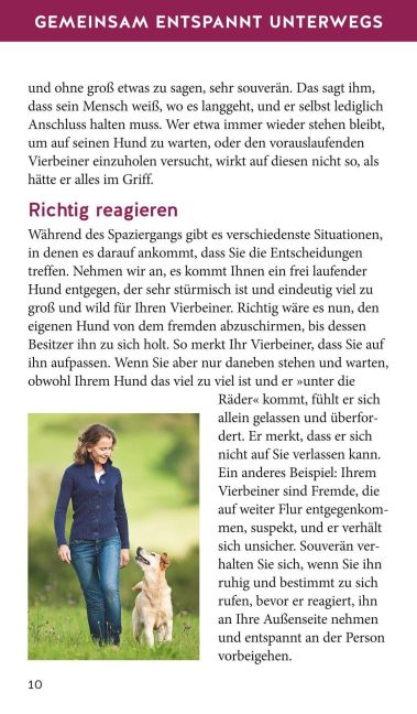 InsideView 7