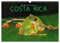 COSTA RICA - Tierische Momente (Wandkalender 2024 DIN A3 quer), CALVENDO Monatskalender - Michael Matziol