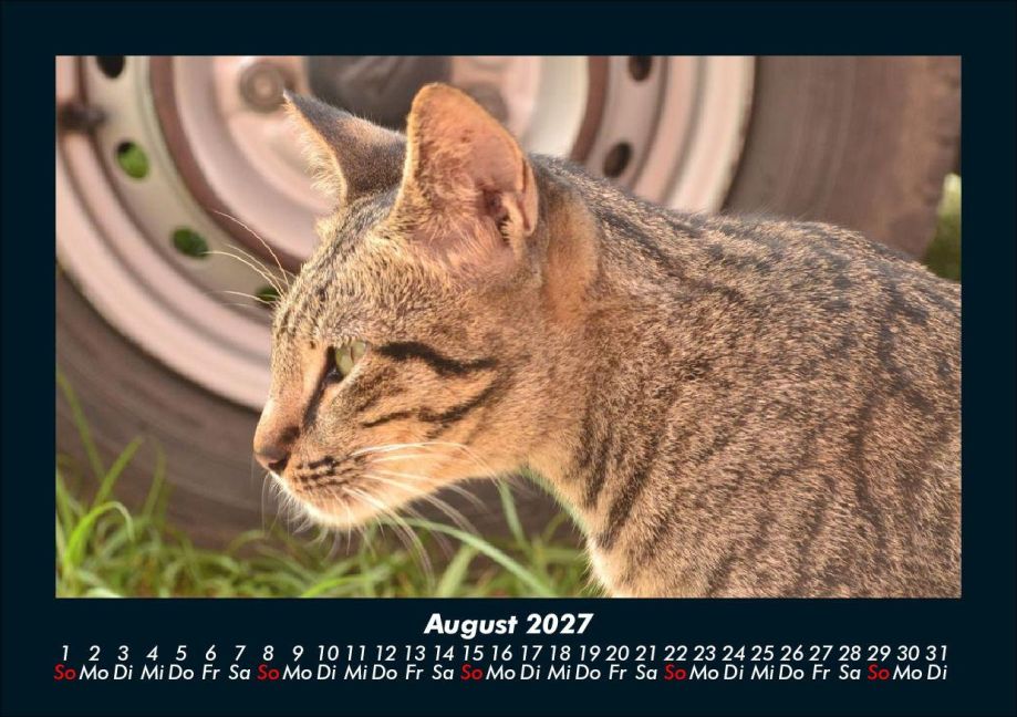 InsideView 12