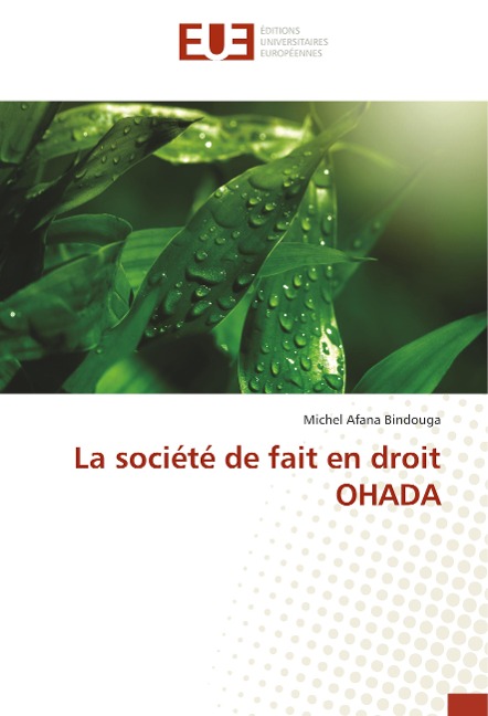 La société de fait en droit OHADA - Michel Afana Bindouga