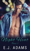 Cover-Bild zum Titel 'Night Heat Part 1 (Night Heat: An Alpha Millionaire Romance, #1)' von 'E. J. Adams'