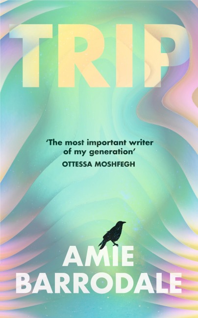 Trip - Amie Barrodale