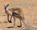 Kangaroos - Rose Davin