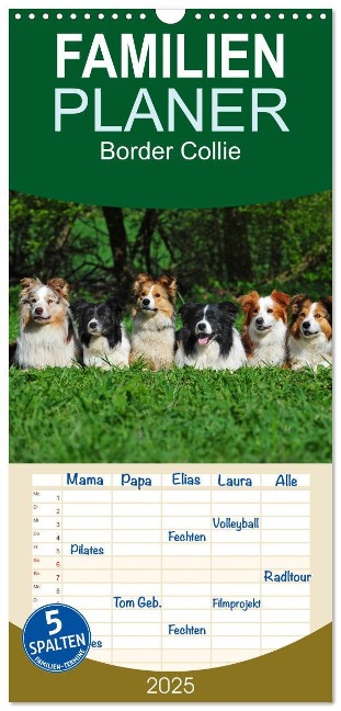 Familienplaner 2025 - Border Collie 2025 mit 5 Spalten (Wandkalender, 21 x 45 cm) CALVENDO - Sigrid Starick