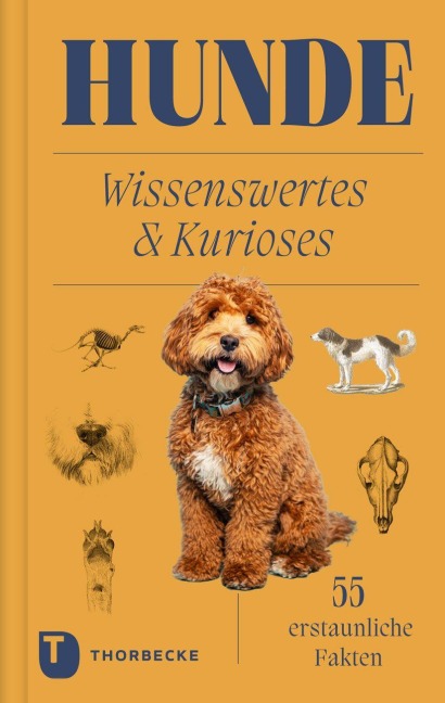 Hunde - 