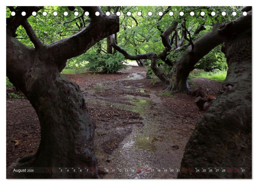 InsideView 13