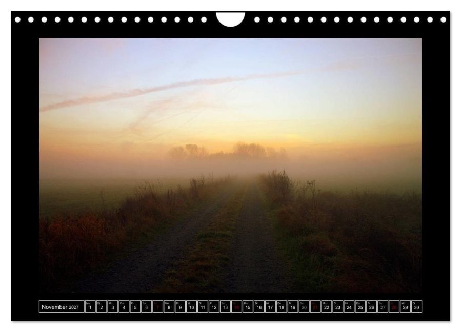 InsideView 3