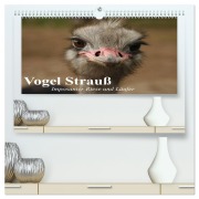 Cover-Bild zum Titel 'Vogel Strauß. Imposanter Riese und Läufer (hochwertiger Premium Wandkalender 2026 DIN A2 quer), Kunstdruck in Hochglanz' von 'Elisabeth Stanzer'