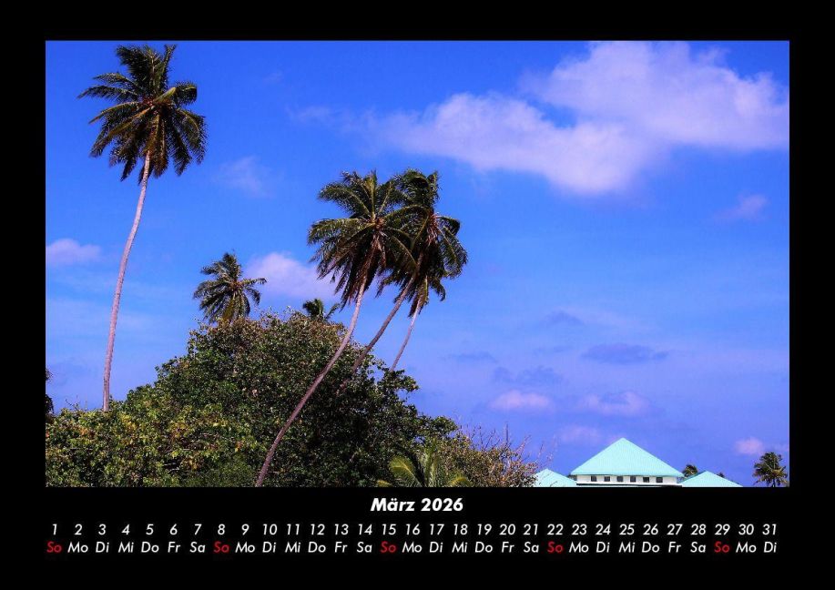 InsideView 7