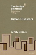 Cover-Bild zum Titel 'Urban Disasters' von 'Cindy Ermus'