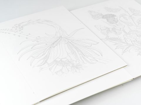 InsideView 2