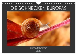 Cover-Bild zum Titel 'DIE SCHNECKEN EUROPAS (Wandkalender 2027 DIN A4 quer), CALVENDO Monatskalender' von 'Steffen Schellhorn'
