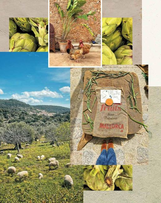InsideView 16