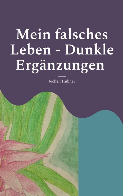 Mein falsches Leben - Dunkle Ergänzungen - Jochen Hübner