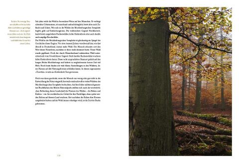 InsideView 12