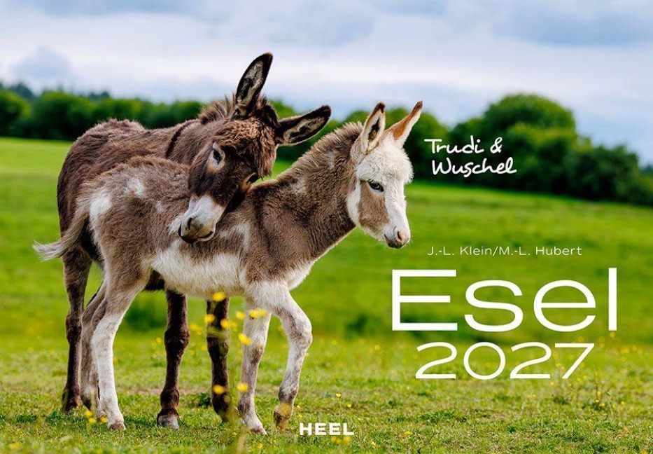 Esel Kalender 2027 - J. -L. Klein, M. -L. Hubert