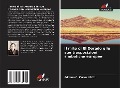 Cover-Bild zum Titel 'Il mito di El Dorado e le sue trasposizioni simboliche europee' von 'Adriana C. Muller Wirth'