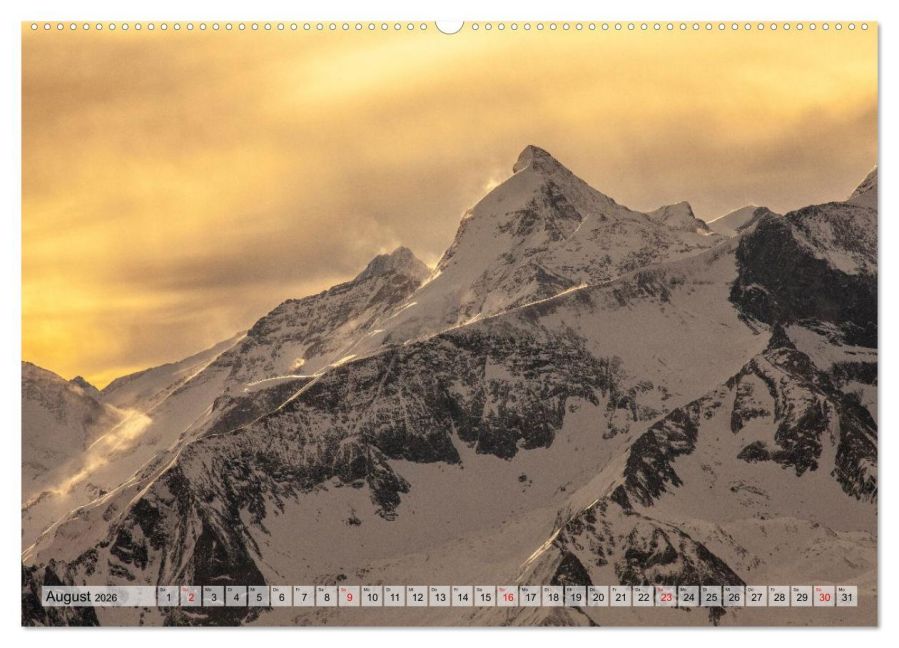 InsideView 12