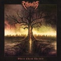 Cover-Bild zum Titel 'Where Chaos Thrives' von 'Chronicle'