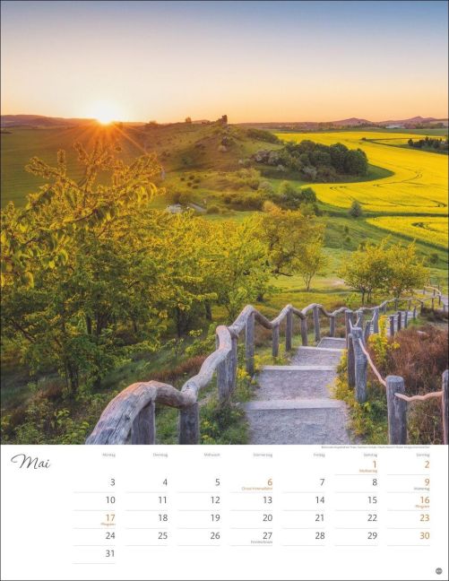 InsideView 5