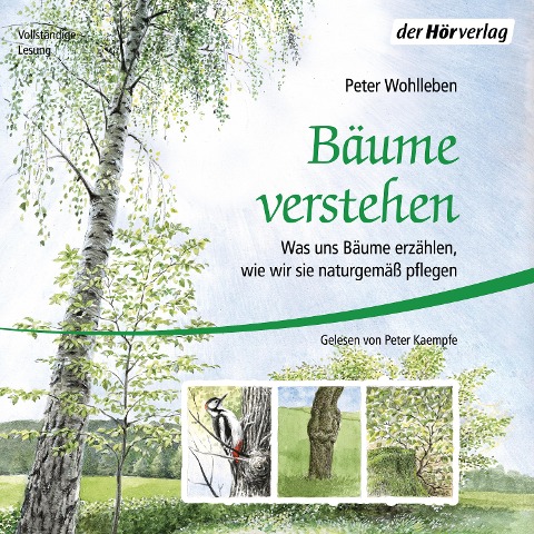 Bäume verstehen - Peter Wohlleben
