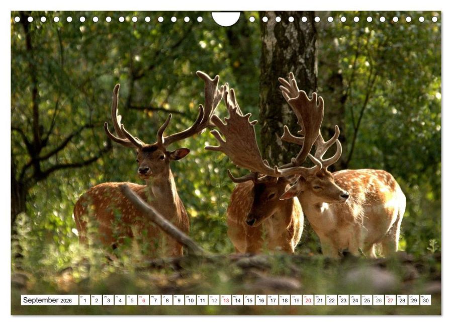 InsideView 14