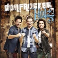 Cover-Bild zum Titel 'Holz' von 'Dorfrocker'