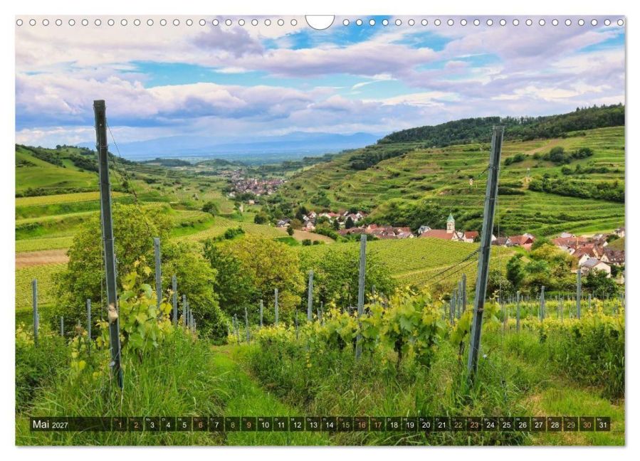 InsideView 10