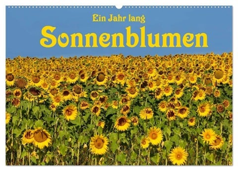 Ein Jahr lang Sonnenblumen (Wandkalender 2024 DIN A2 quer), CALVENDO Monatskalender - Anke van Wyk - www. germanpix. net