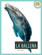 Cover-Bild zum Titel 'La Ballena' von 'Nell Musolf'