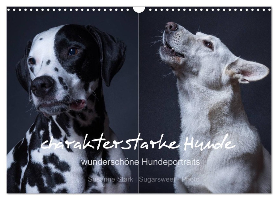 charakterstarke Hunde, wunderschöne Hundeportraits (Wandkalender 2026 DIN A3 quer), CALVENDO Monatskalender - Susanne Stark Sugarsweet - Photo