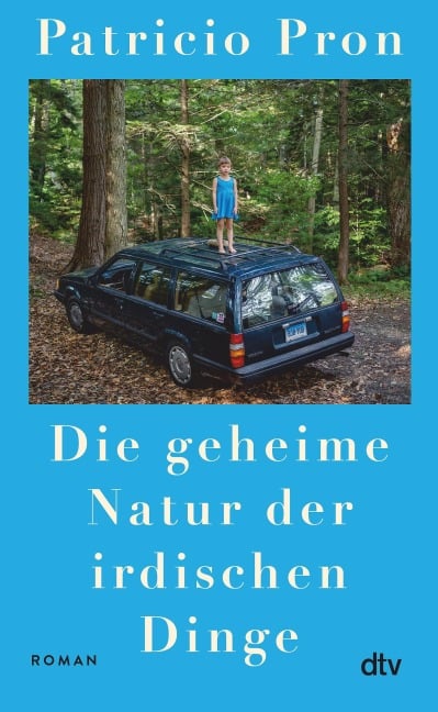 Die geheime Natur der irdischen Dinge - Patricio Pron