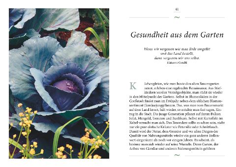 InsideView 3