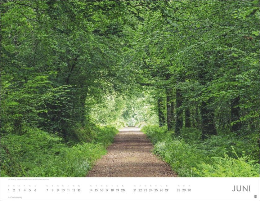 InsideView 6