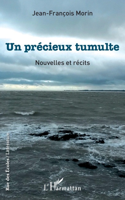 Un précieux tumulte - Jean-Francois Morin