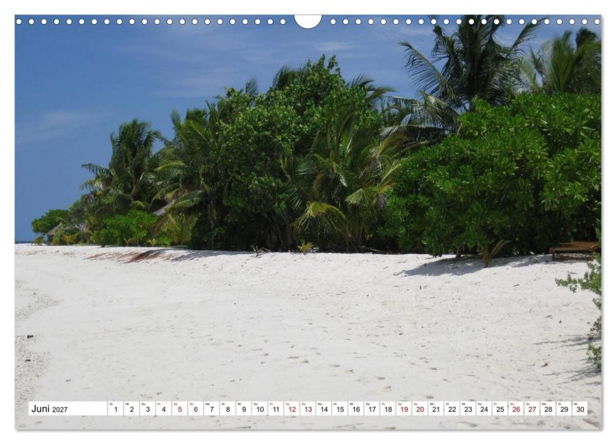 InsideView 11