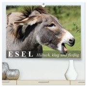 Cover-Bild zum Titel 'Esel - hübsch, klug und fleißig (hochwertiger Premium Wandkalender 2026 DIN A2 quer), Kunstdruck in Hochglanz' von 'Elisabeth Stanzer'